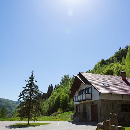 Kamyanka Villa Yaremche Dış mekan fotoğraf