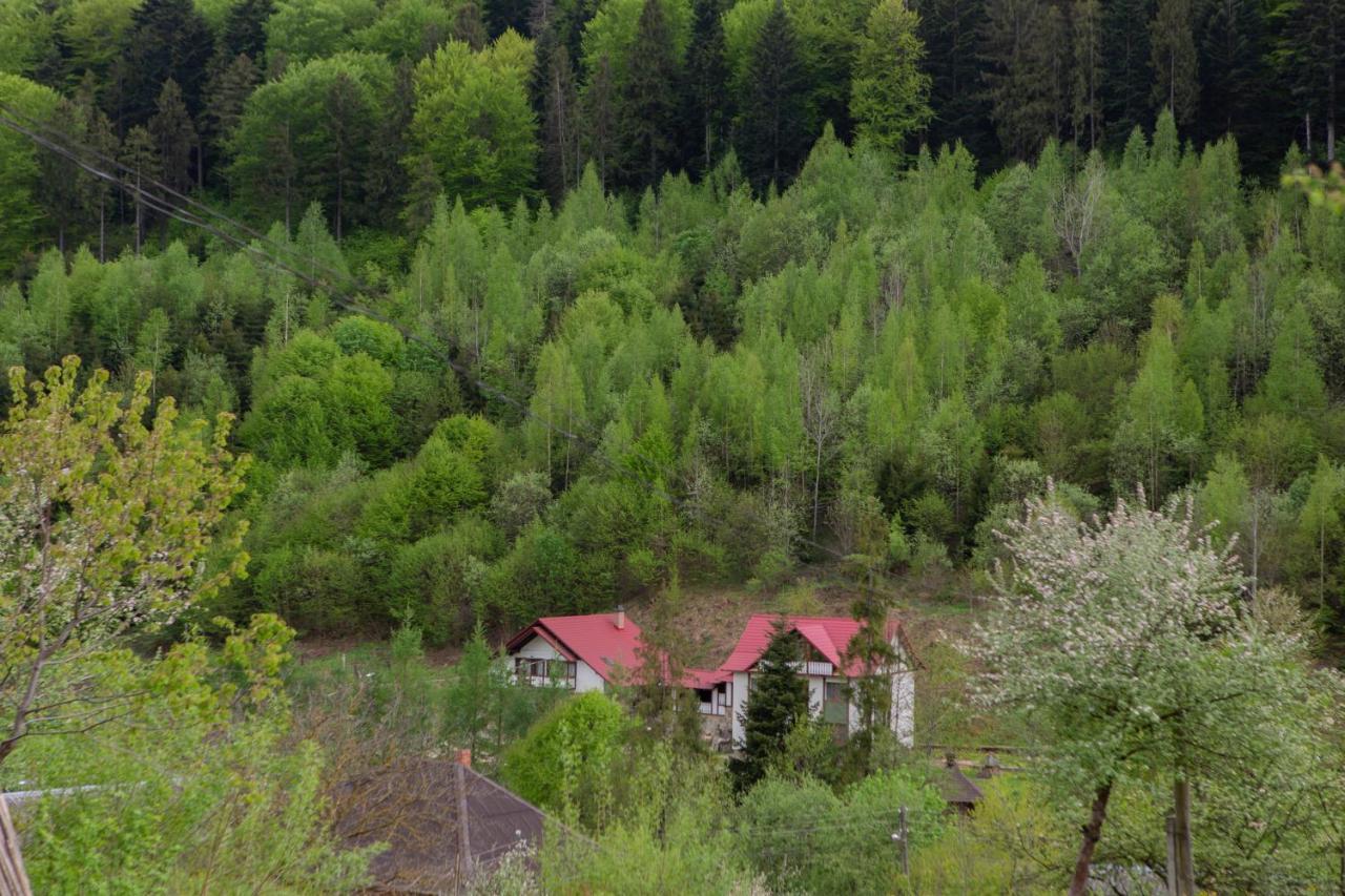 Kamyanka Villa Yaremche Dış mekan fotoğraf